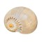 COCHILIE MARE MELC, MELO AMPHORA