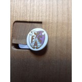 Insigne (10) Industrie Pitesti CS