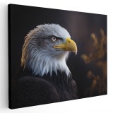 Tablou canvas vultur plesuv salbatic, maro, galben, alb 1110 Tablou canvas pe panza CU RAMA 70x100 cm