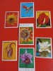 PARAGUAY, FLORA - SERIE COMPLETĂ MNH, Nestampilat