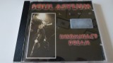 Soul Asylum - 957