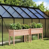 Cumpara ieftin Jardiniere de grădină cu picioare, 2 buc., lemn masiv Douglas