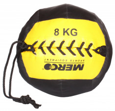 Wall Ball Classic minge fitness 8 kg foto