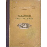 PATANIILE UNUI PELERIN-N. LESKOV-327049