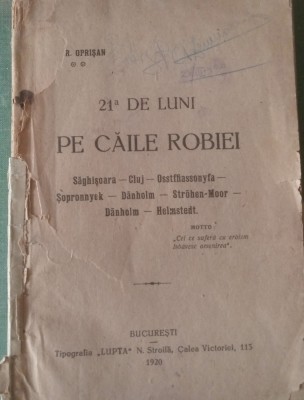 21 de luni pe caile robiei (I. Gr. Oprișan, 1920) foto