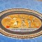 332-Splendid platou mare decorativ vechi Egipt.