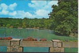 CPI B 11919 CARTE POSTALA - SIBIU. LACUL DIN DUMBRAVA, Circulata, Fotografie