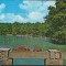 CPI B 11919 CARTE POSTALA - SIBIU. LACUL DIN DUMBRAVA