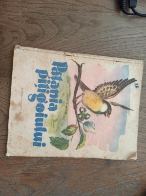 PATANIA PITIGOIULUI, 1954 * FORMAT A4 * ILUSTRATA DE DEM DEMETRESCU foto