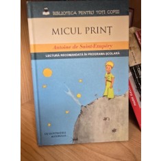 Micul Print - Antoine de Saint-Exupery