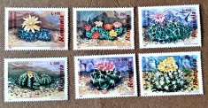 TIMBRE ROMANIA MNH LP1433/1997 -CACTUȘI- Serie simplă