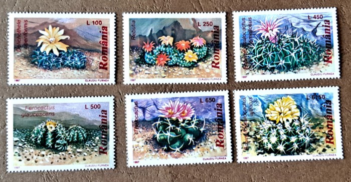 TIMBRE ROMANIA MNH LP1433/1997 -CACTUȘI- Serie simplă
