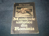 MITICA GEORGESCU - MAMIFERELE SALBATICE DIN ROMANIA