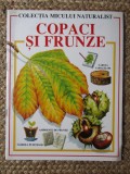 COPACI SI FRUNZE - COLECTIA MICULUI NATURALIST
