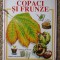 COPACI SI FRUNZE - COLECTIA MICULUI NATURALIST