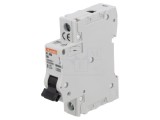 &Icirc;ntrerupător de Supracurent 6A 1P 230V B