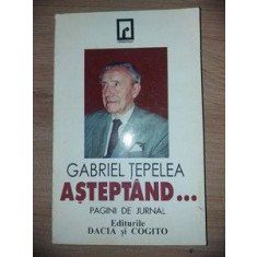 Asteptand...Pagini de jurnal - Gabriel Tepelea