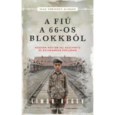 A fi&amp;uacute; a 66-os blokkb&amp;oacute;l - Limor Regev foto