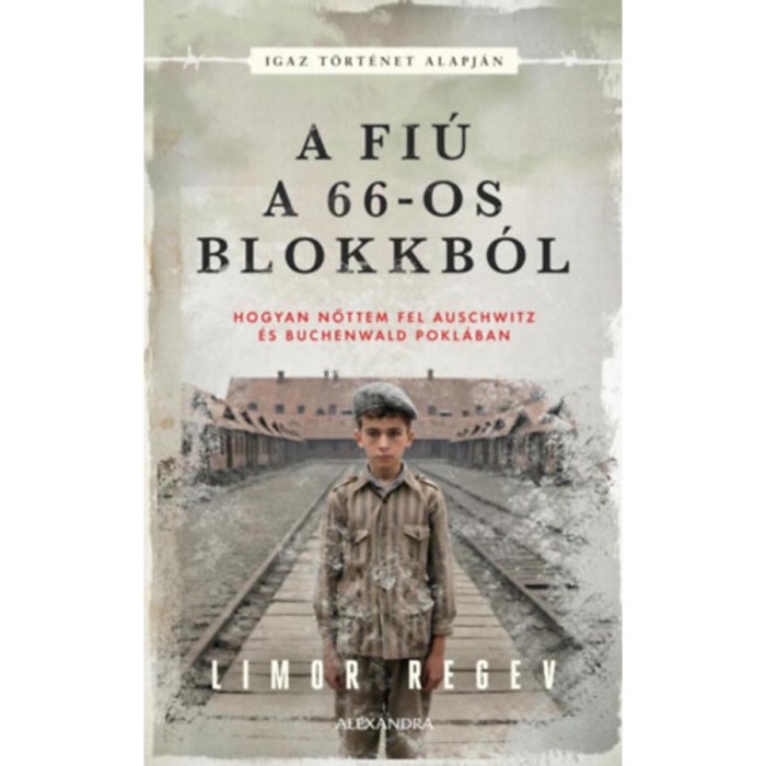 A fi&uacute; a 66-os blokkb&oacute;l - Limor Regev