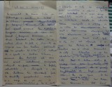 8 pagini olografe Ovidiu S. Crohmalniceanu: Debuturi in roman