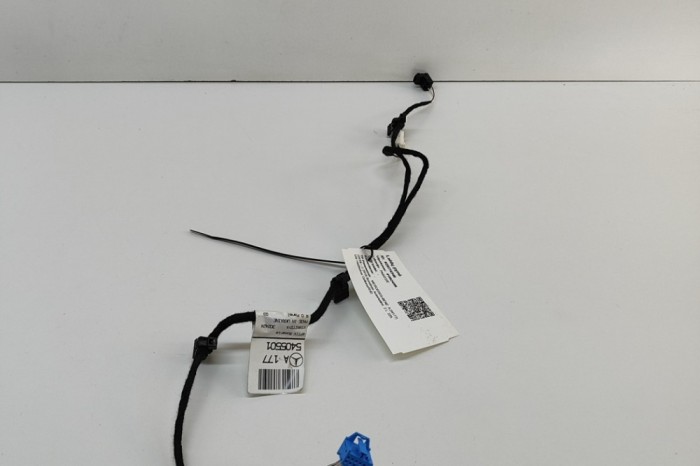 Cablaj ușă dreapta spate MERCEDES-BENZ A W177 2019 OEM: A1775405501 28516546