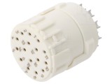 Conector M16 7.001.916.104