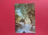 CARTE POSTALA - RPR - VEDERE DIN DELTA DUNARII