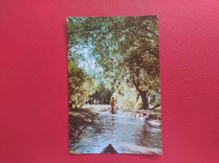 CARTE POSTALA - RPR - VEDERE DIN DELTA DUNARII