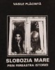 Slobozia Mare prin fereastra istoriei / Vasile Placinta
