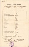 A1832 Certificat școlar, 1896, Oravița