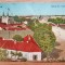 F687-Timisoara- IOSEFIN ANII 1940 TIMBRE Regele Mihai circulate cu defecte.