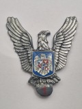 Insigna Pilot Militar clasa I - 50 mm