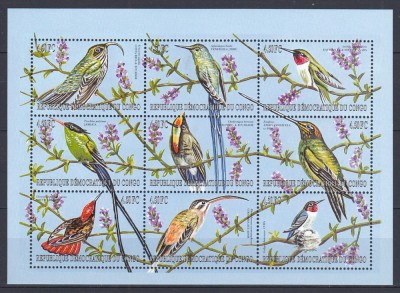 Congo - PASARI RARE - BL - MNH foto