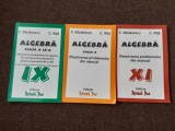 ALGEBRA REZOLVAREA PROBLEMELOR DIN MANUAL CLASELE IX,X,XI C NASTASESCU ,C NITA