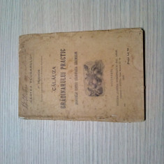 CALAUZA GRADINARULUI PRACTIC - P. Rosiad - "Cartea Plugarului", 1922, 104 p.