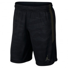 Pantaloni Scurti Nike Jordan Alpha - Pantalon Original - AO8857-010 foto