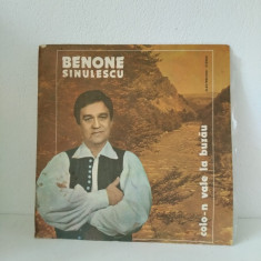 Benone Sinulescu - Colo-n vale la Buzau , Vinil Electrecord 1977, LP