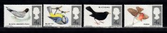 A12 S6 11 - Timbre foarte vechi - Marea Britanie - Anglia - pasari