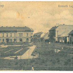 3703 - PETROSANI, Hunedoara, Park, Romania - old postcard - used - 1918