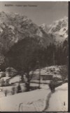 CPIB 22567 - CARTE POSTAL - PREDEAL. VEDERE SPRE CARAIMAN, RPR, NECIRCULATA