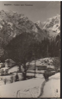 CPIB 22567 - CARTE POSTAL - PREDEAL. VEDERE SPRE CARAIMAN, RPR, NECIRCULATA foto