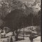 CPIB 22567 - CARTE POSTAL - PREDEAL. VEDERE SPRE CARAIMAN, RPR, NECIRCULATA