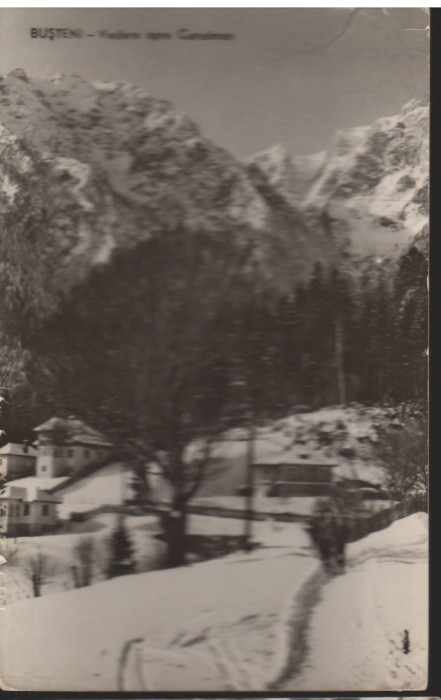 CPIB 22567 - CARTE POSTAL - PREDEAL. VEDERE SPRE CARAIMAN, RPR, NECIRCULATA