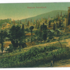 4593 - BUSTENARI, Prahova, Romania - old postcard - unused - 1913