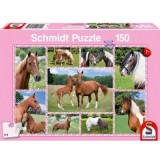 Puzzle 150 piese, Cai fermecatori, Schimdt