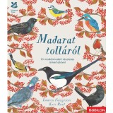 Madarat toll&aacute;r&oacute;l - 10 mad&aacute;rmodell r&eacute;szletes ismertetővel - Lauren Fairgrieve