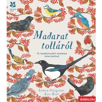 Madarat toll&amp;aacute;r&amp;oacute;l - 10 mad&amp;aacute;rmodell r&amp;eacute;szletes ismertetővel - Lauren Fairgrieve foto
