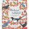 Madarat toll&aacute;r&oacute;l - 10 mad&aacute;rmodell r&eacute;szletes ismertetővel - Lauren Fairgrieve