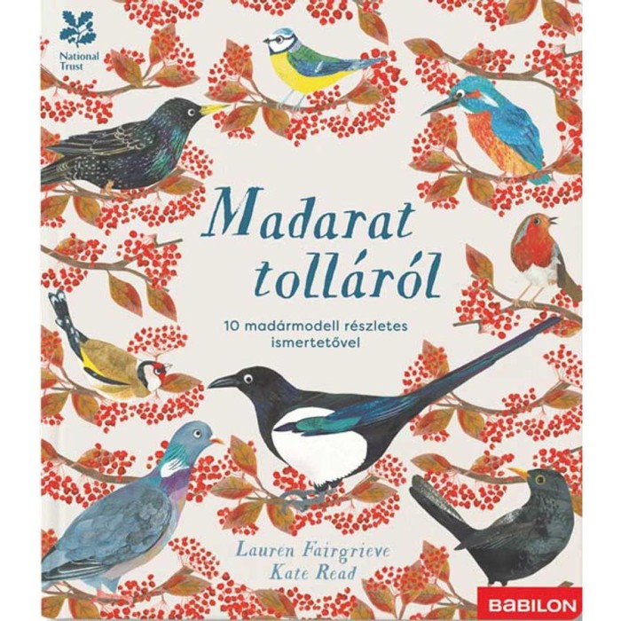 Madarat toll&aacute;r&oacute;l - 10 mad&aacute;rmodell r&eacute;szletes ismertetővel - Lauren Fairgrieve