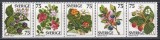 Suedia 1977 - Fructe sălbatice, Staif, MNH